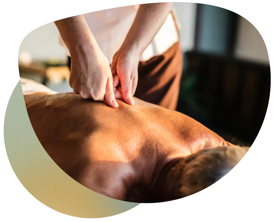 A person receiving a massage on their back, with a professional setting in the background.