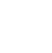 A circular representation of the world, symbolizing unity and wholeness.